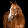 natkw